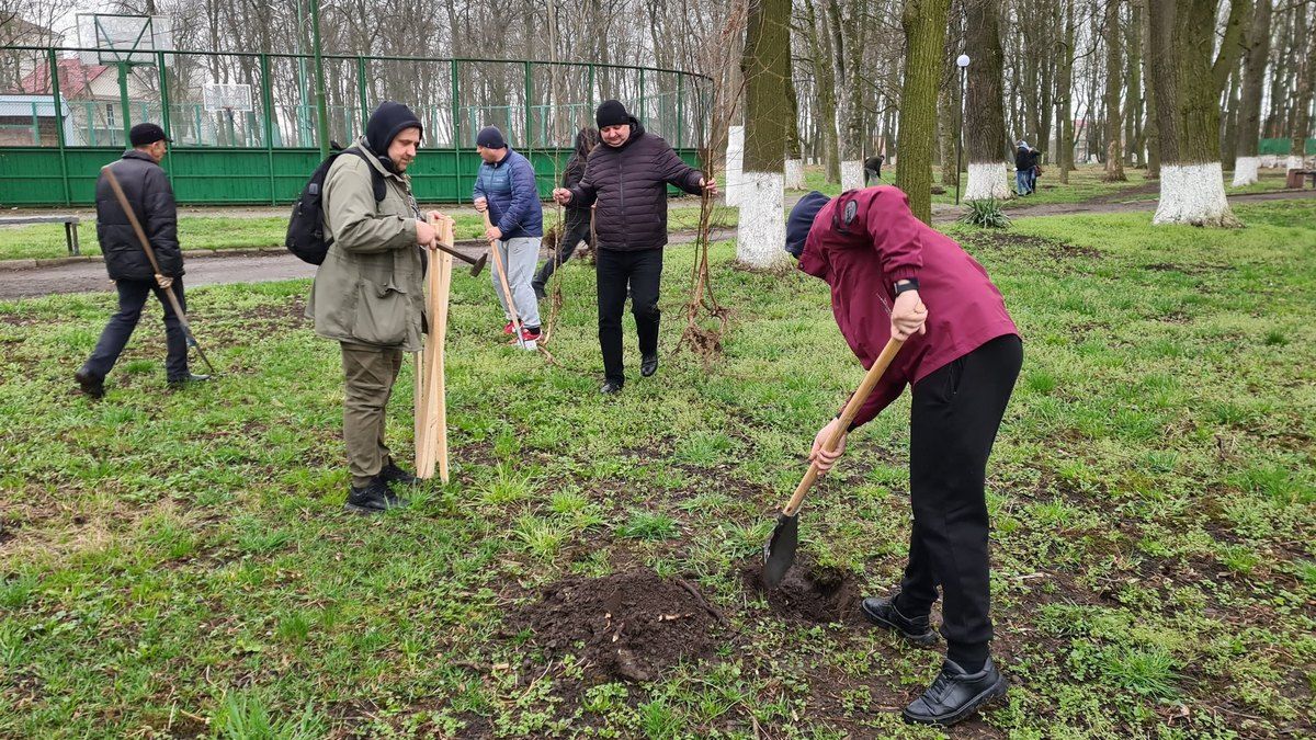 У міському парку Снятина висадили кілька сотень дерев 3