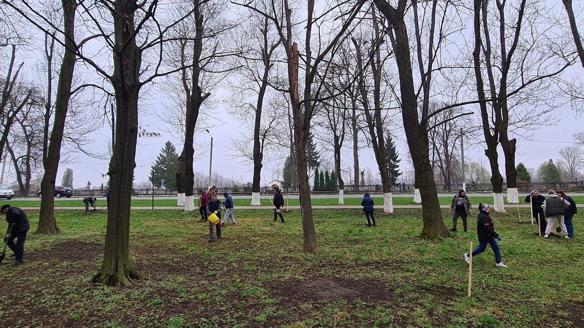 У міському парку Снятина висадили кілька сотень дерев 4