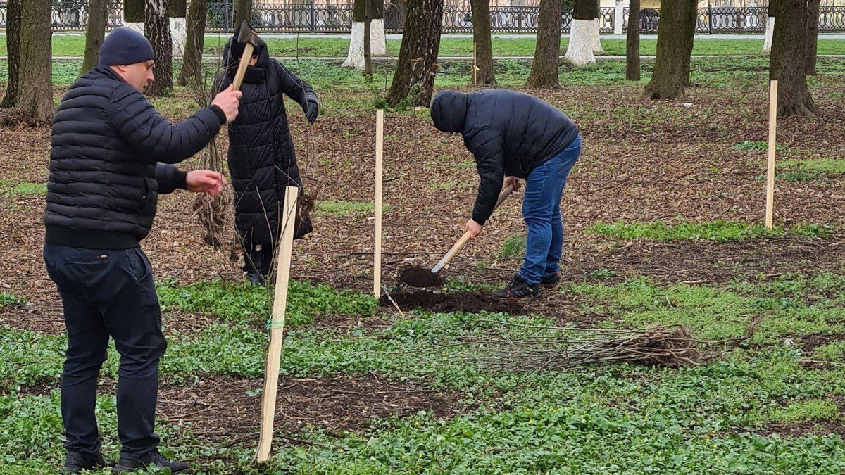 Міський парк Снятина знову поповнили новими деревами 4