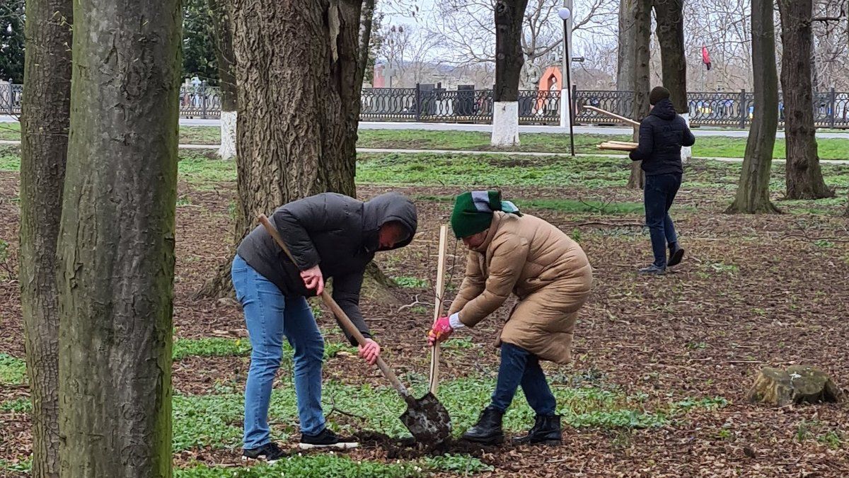 Міський парк Снятина знову поповнили новими деревами 2