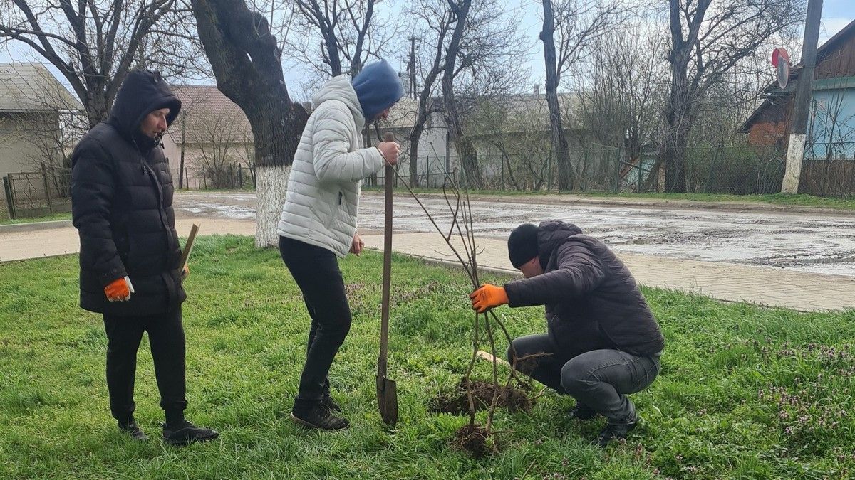 Міський парк Снятина знову поповнили новими деревами 5