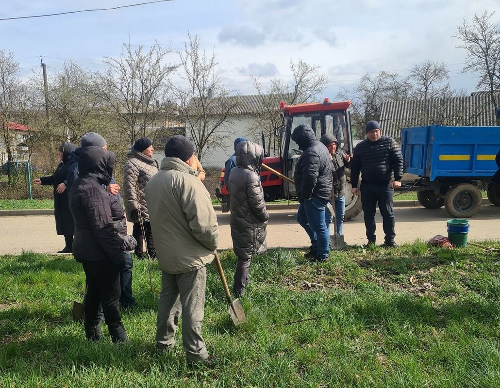 Міський парк Снятина знову поповнили новими деревами 6