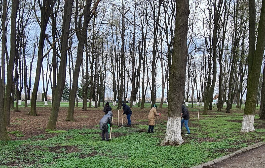 Міський парк Снятина знову поповнили новими деревами 3