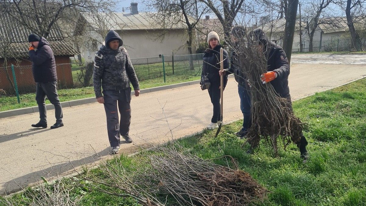 Міський парк Снятина знову поповнили новими деревами 1