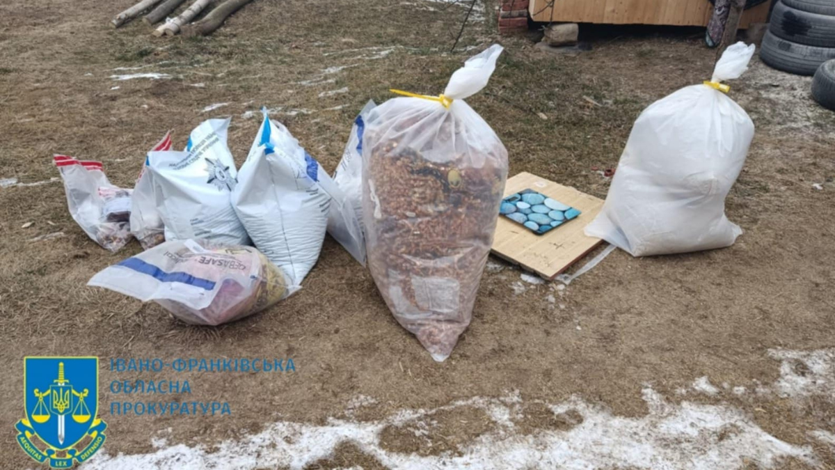 На Прикарпатті затримали незаконне угрупування з торгівлі бурштином 1