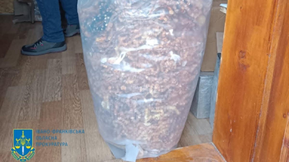 На Прикарпатті затримали незаконне угрупування з торгівлі бурштином 2