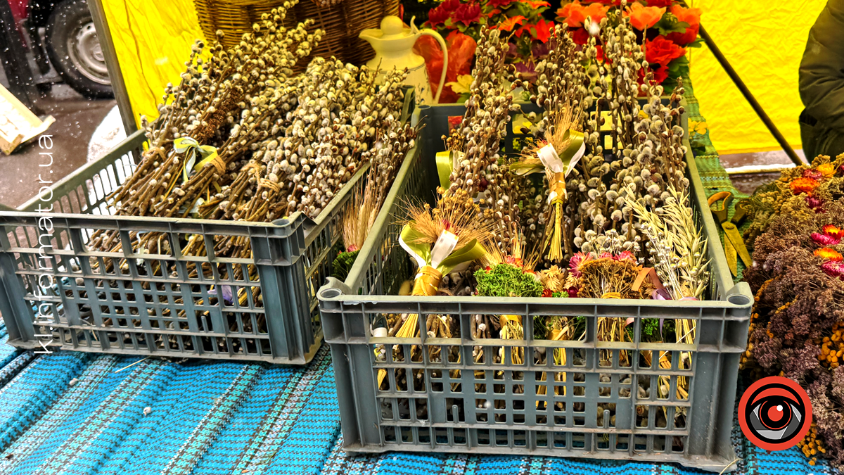 Скільки коштують вербові гілочки на ринку в Коломиї 3