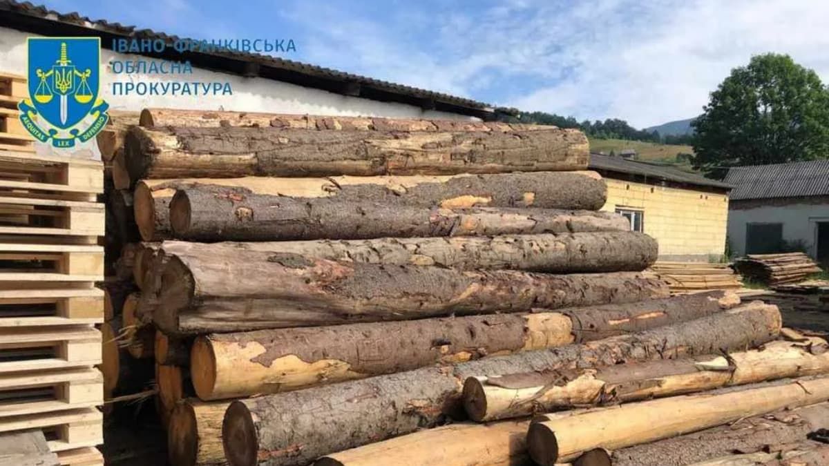 Директор та троє працівників Кутського лісгоспу завдали кількасот мільйонні збитки через незаконну рубку дерев