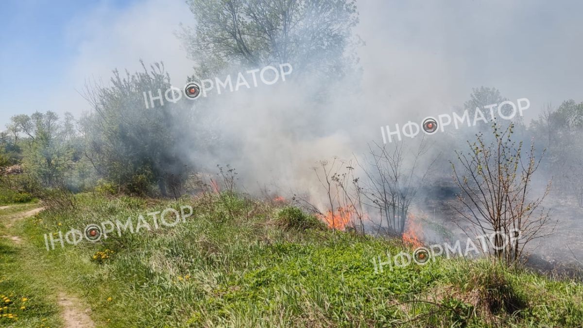 Знову за своє: у Коломиї спалахнула суха трава 1