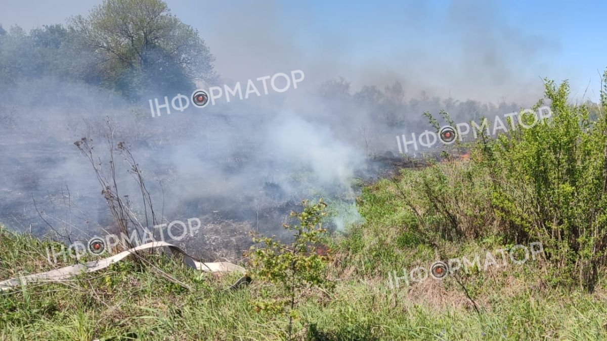 Знову за своє: у Коломиї спалахнула суха трава 2