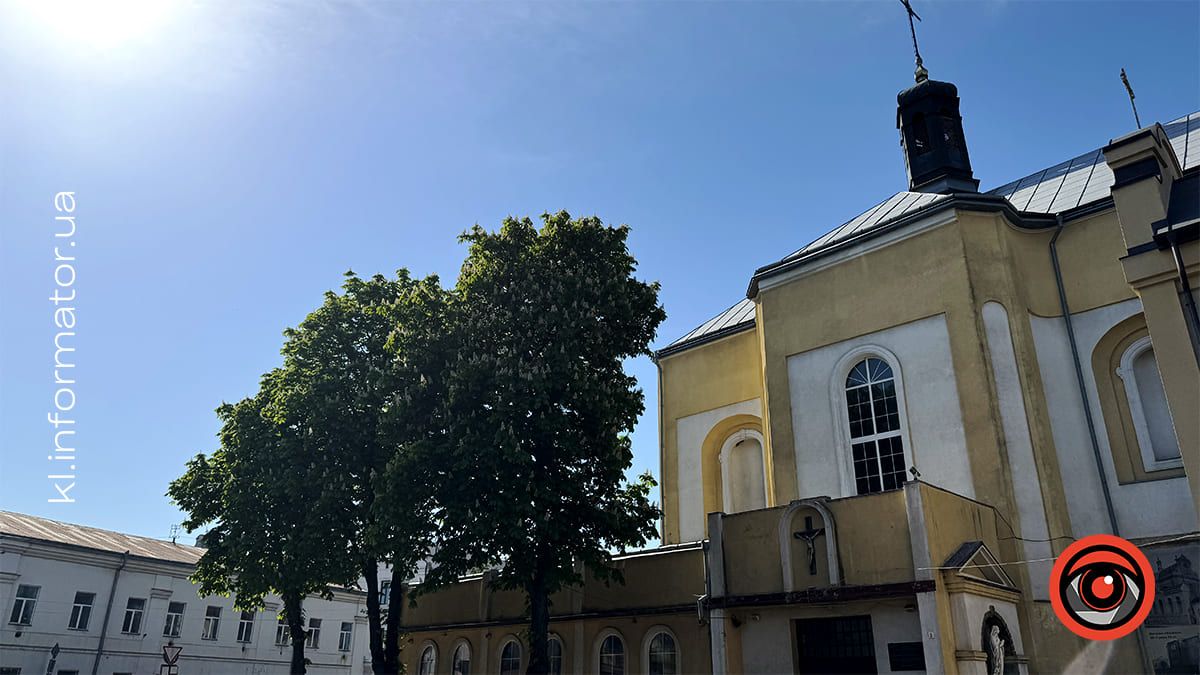 Травнева краса: У Коломиї зацвіли каштани 6