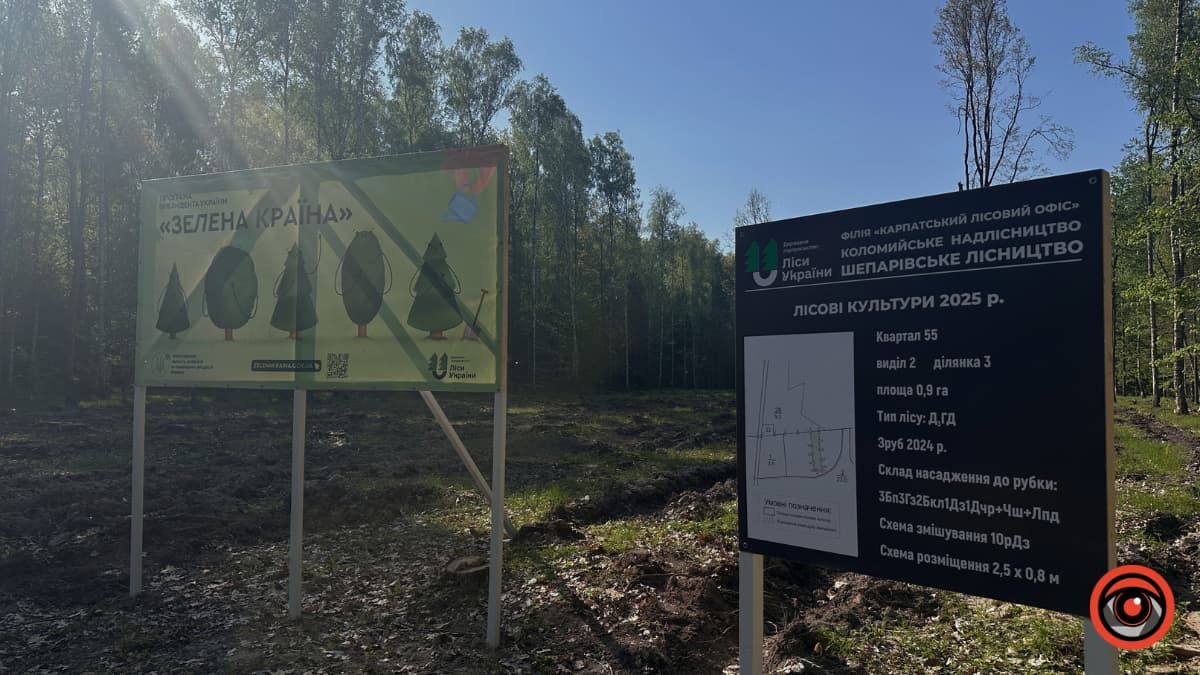 Зрубав дерево - посади нове: як на Коломийщині висаджували дуби 3