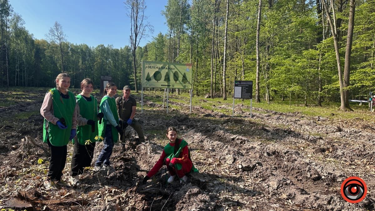 Зрубав дерево - посади нове: як на Коломийщині висаджували дуби 1