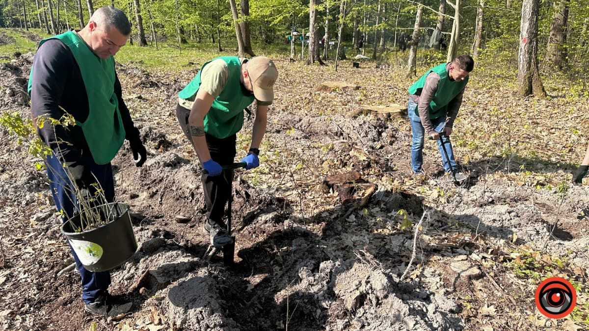 Зрубав дерево - посади нове: як на Коломийщині висаджували дуби 7