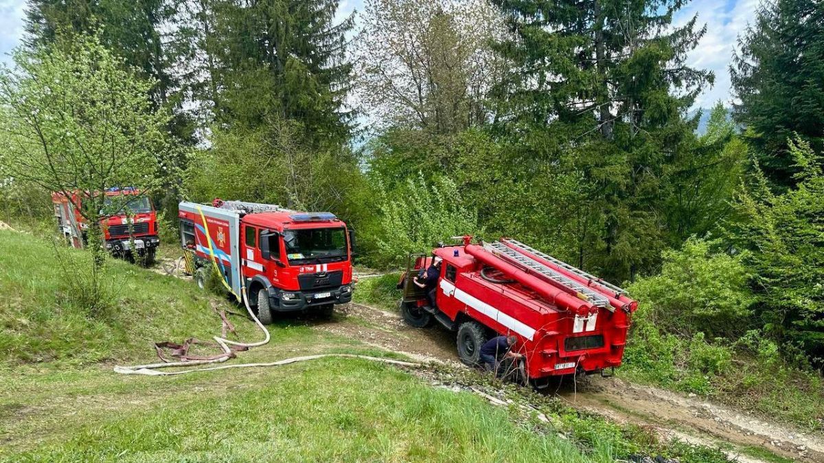 У Микуличині спалахнула пожежа в лісі 1