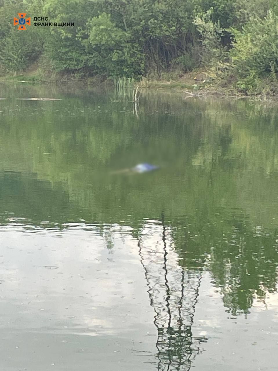 Трагедія на Косівщині: у ставку потонула жінка 1