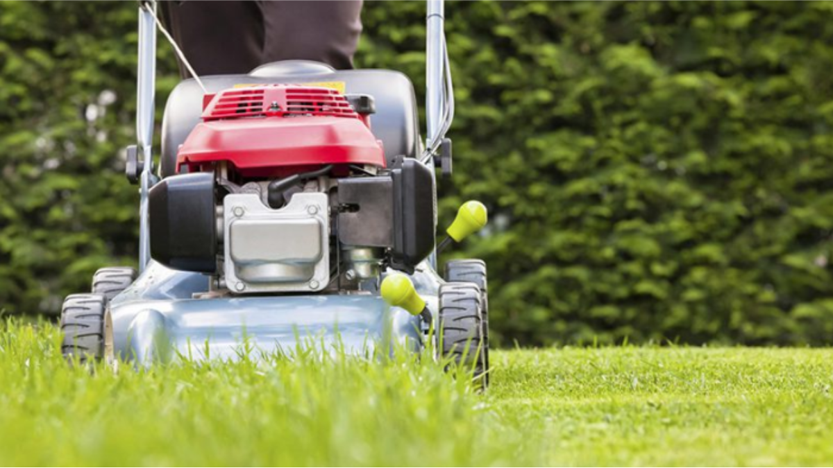 Бензинова косарка: сила чи проблема?