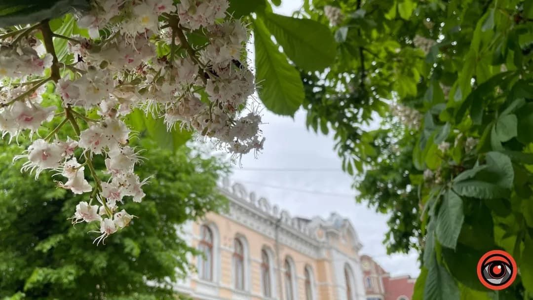 Погода в Коломиї 14 травня: похмуро з проясненнями