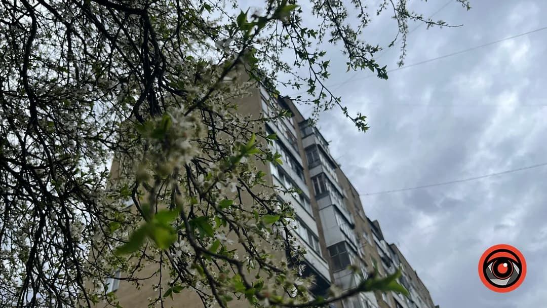 Погода в Коломиї 15 травня: дощ