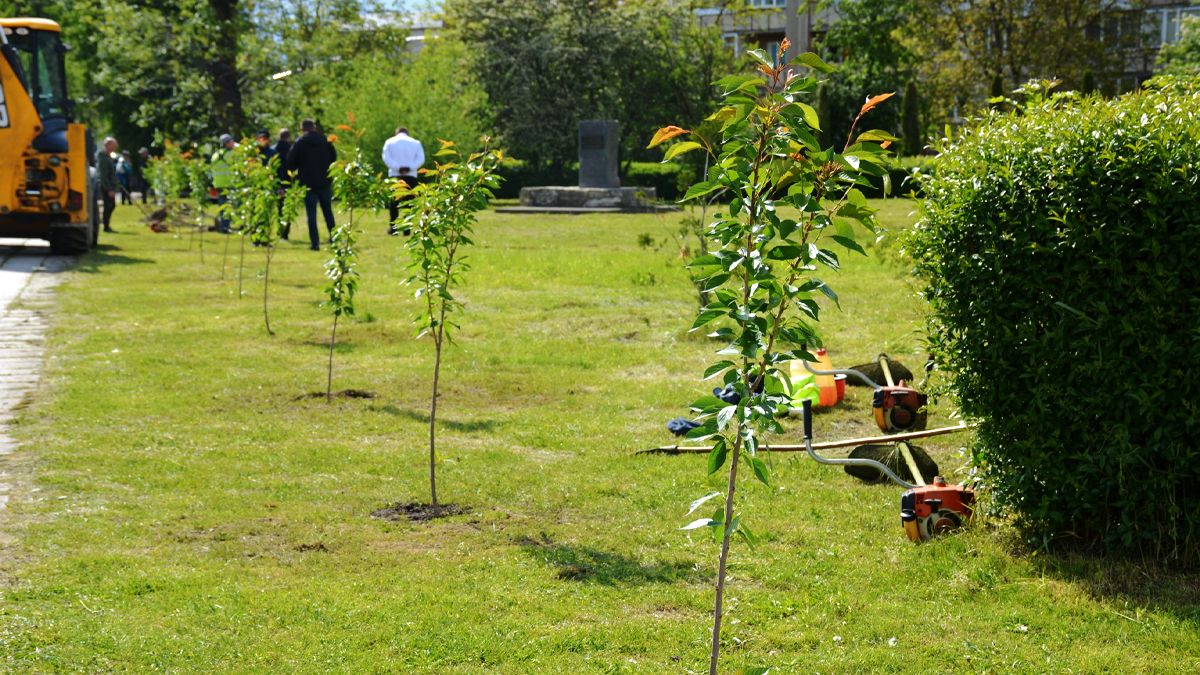 день матері