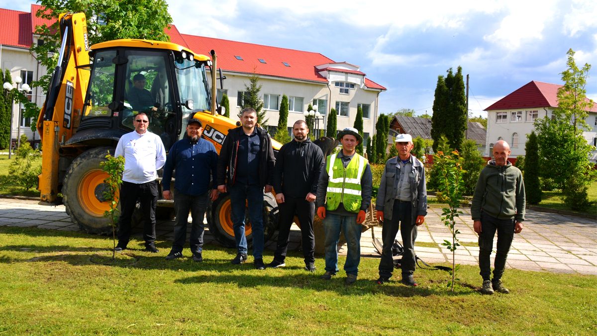 До Дня матері у Надвірній висадили алею сакур 3