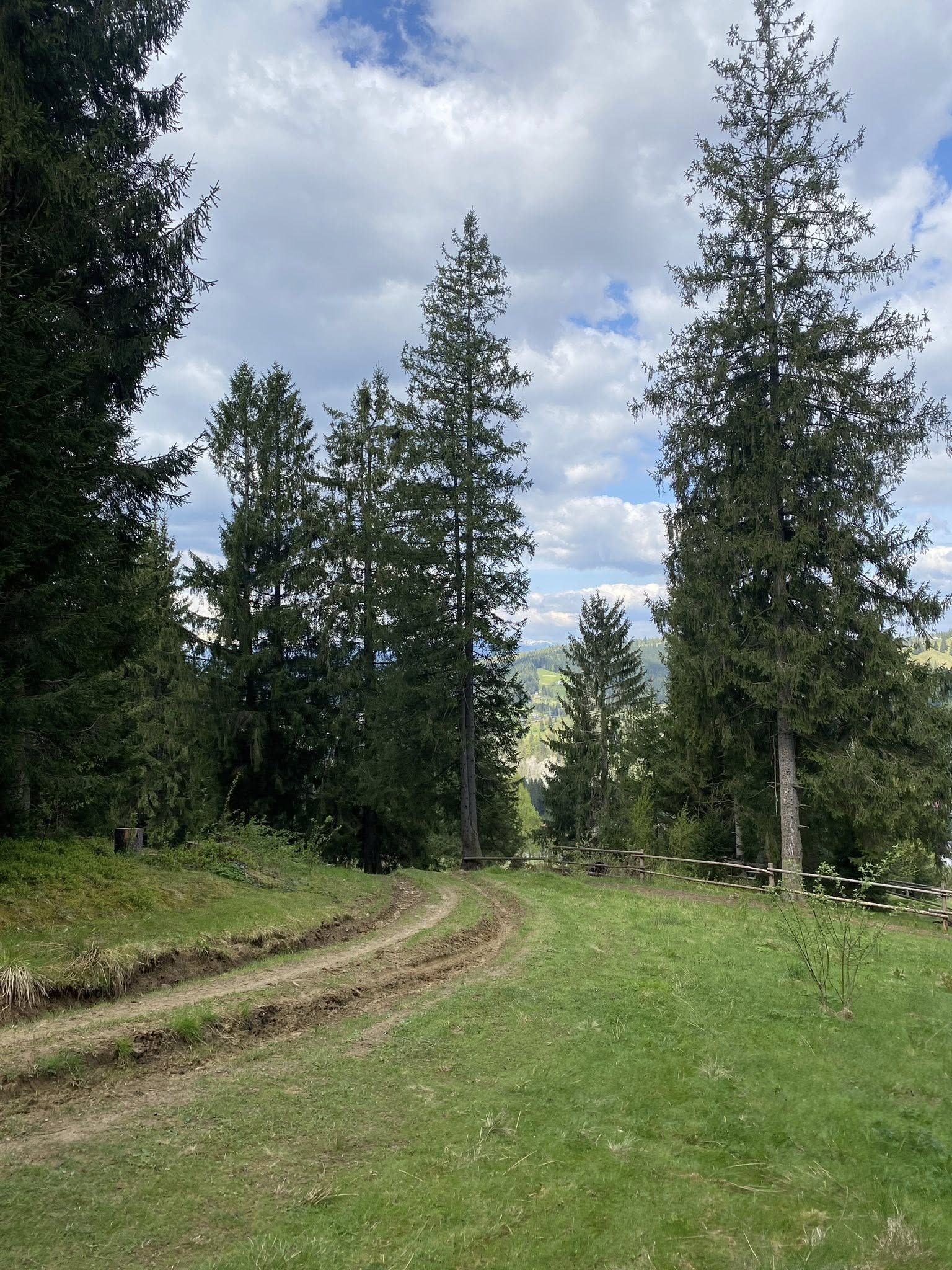 У Ворохті відкрили маршрут пам'яті полеглому Герою Андрію Томащуку 1