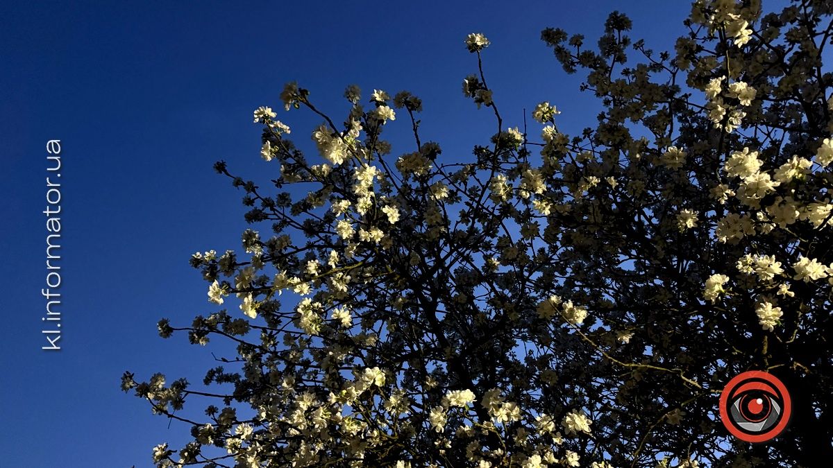 21 кадр нічної Коломиї, яку варто запам'ятати 16