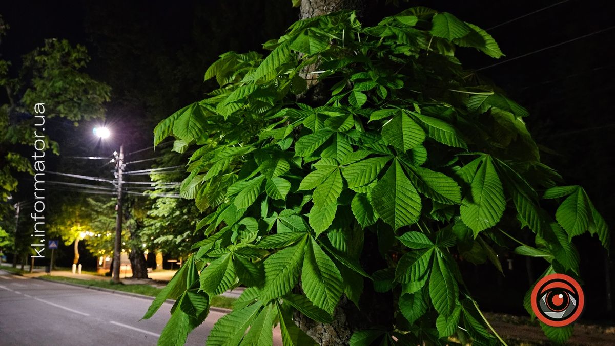 21 кадр нічної Коломиї, яку варто запам'ятати 4