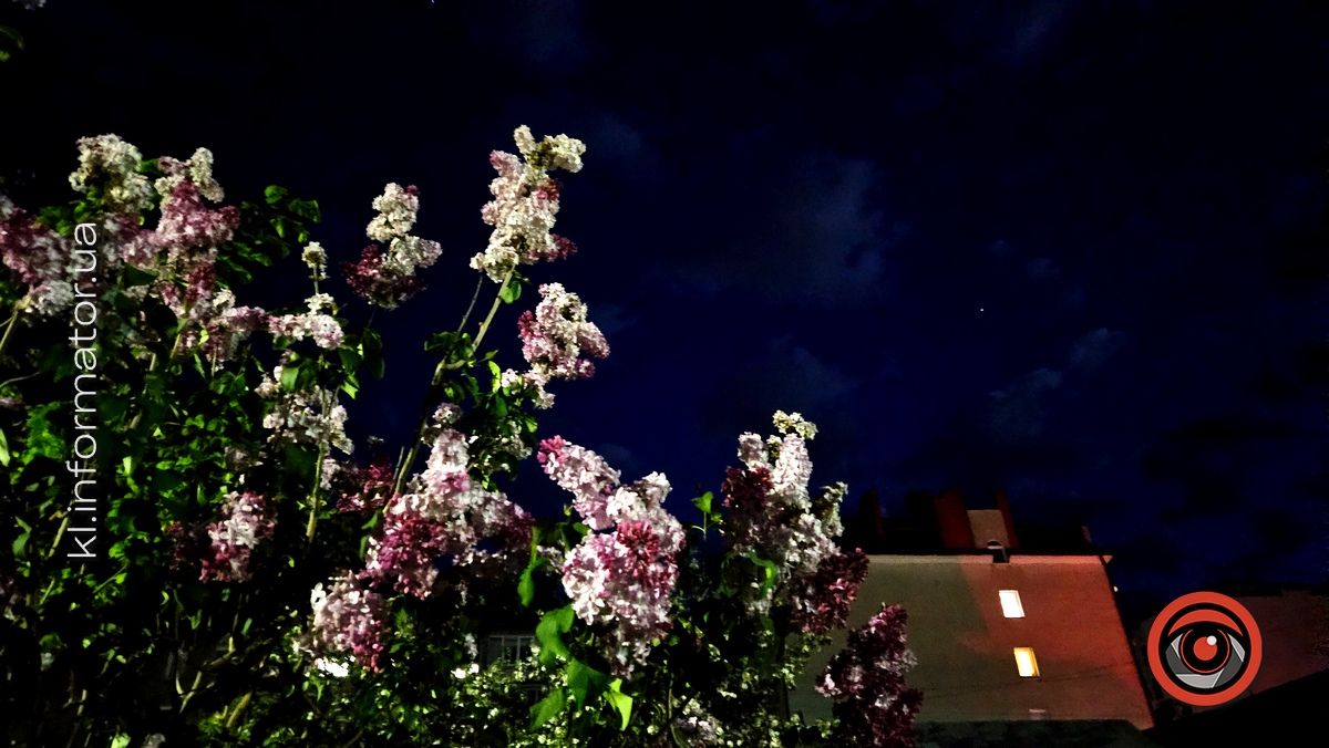 21 кадр нічної Коломиї, яку варто запам'ятати 12