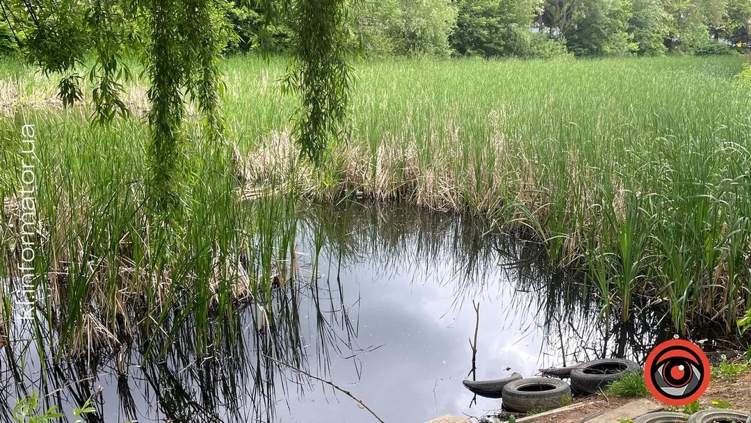 На Коломийщині ділянку з ставком незаконно передали в оренду