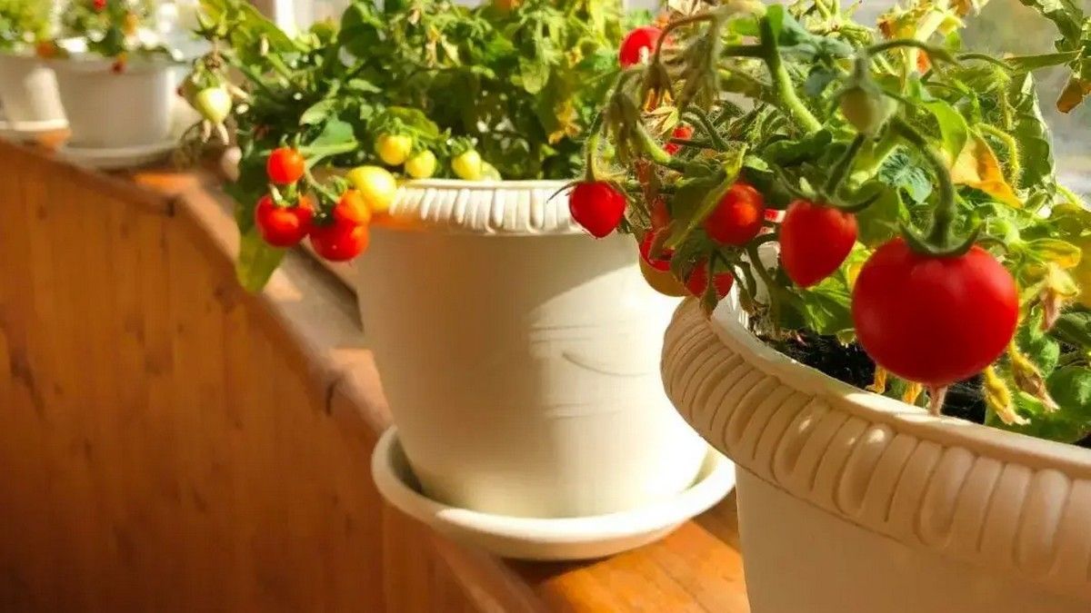 Цей день в календарі: свята, прикмети та іменини 22 травня