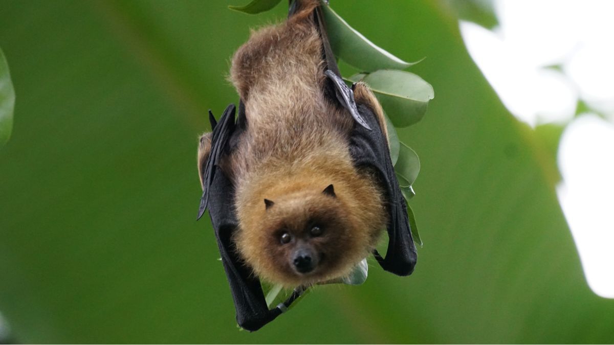 Цей день в календарі: свята, прикмети та іменини 26 травня