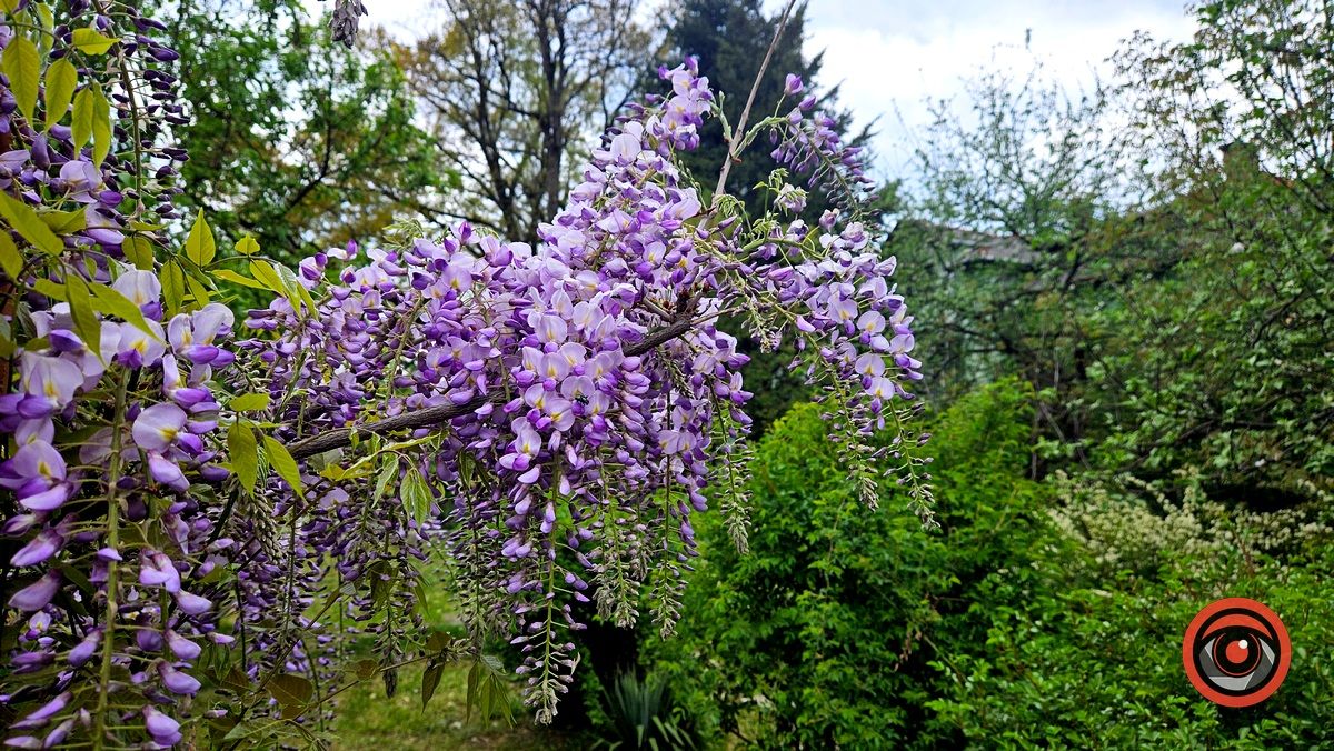 Погода у Коломиї 26 травня