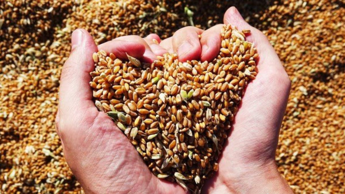 Цей день в календарі: свята, прикмети та іменини 28 травня