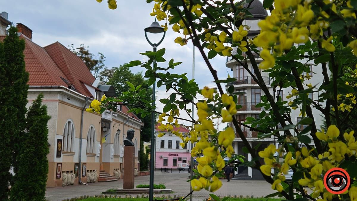 Хмарно з дощем: погода в Коломиї на 29 травня