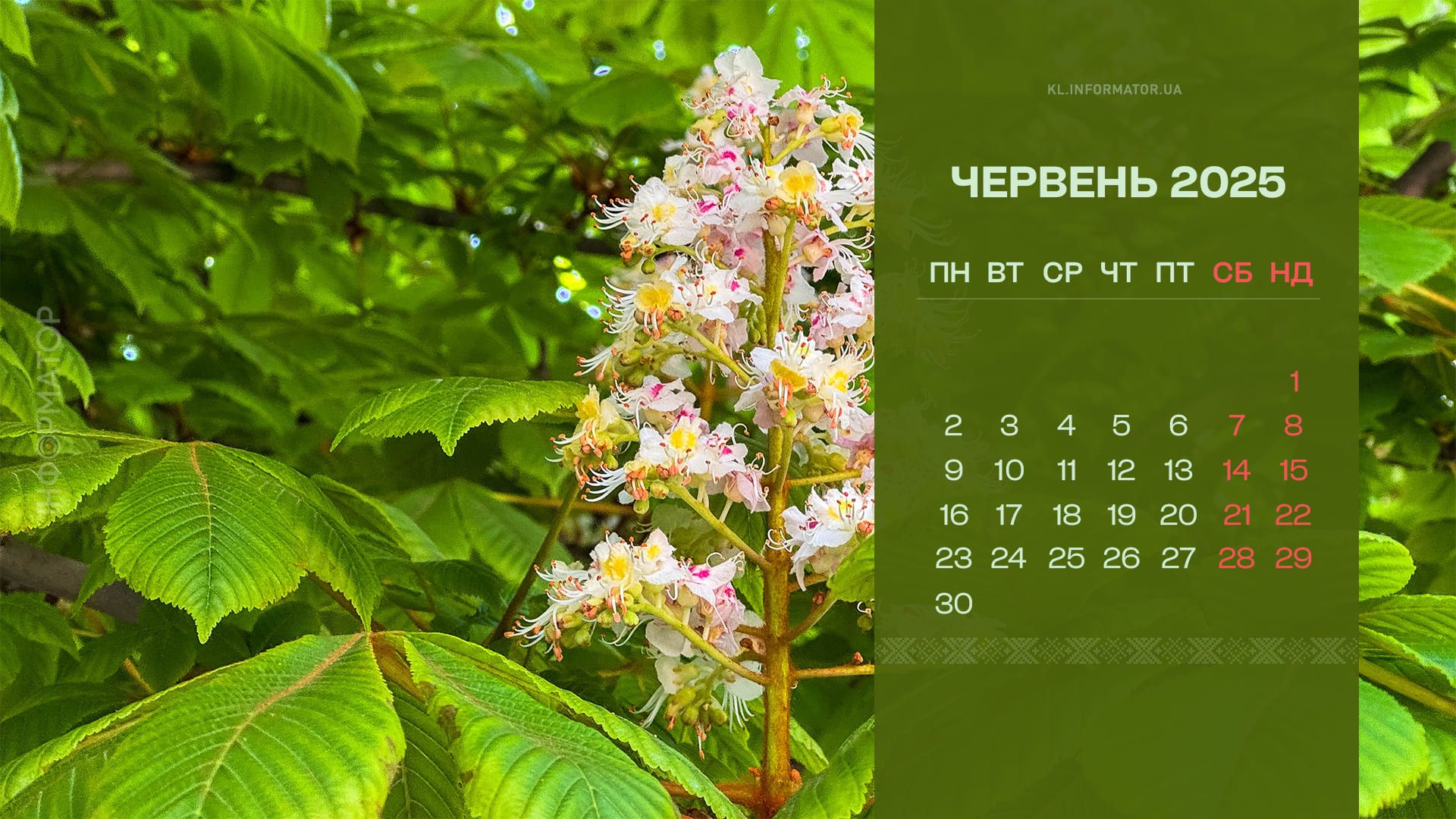 Коломия на екрані: фотокалендарі для робочого столу на червень 2025 9