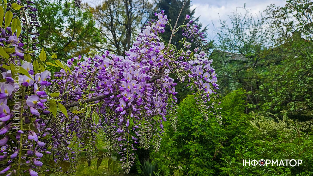 Коломия вдень та вночі: атмосферні фото 97