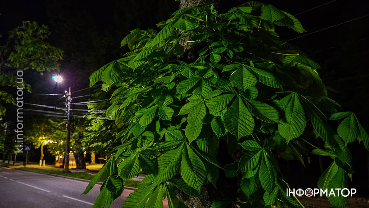 Весняна Коломия: місто в об’єктиві травня 2025 7