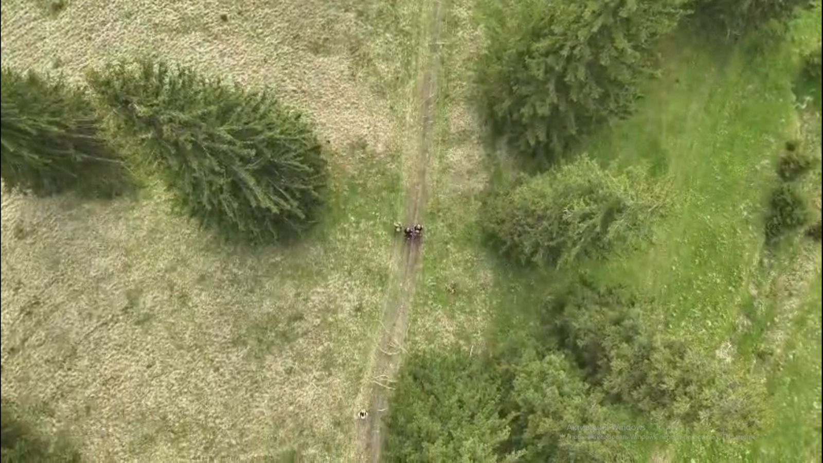 У горах Франківщини прикордонники затримали трьох чоловіків, які намагались незаконно потрапити до Румунії 1