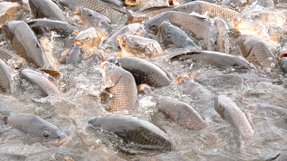 Цей день в календарі: свята, прикмети та іменини 5 червня