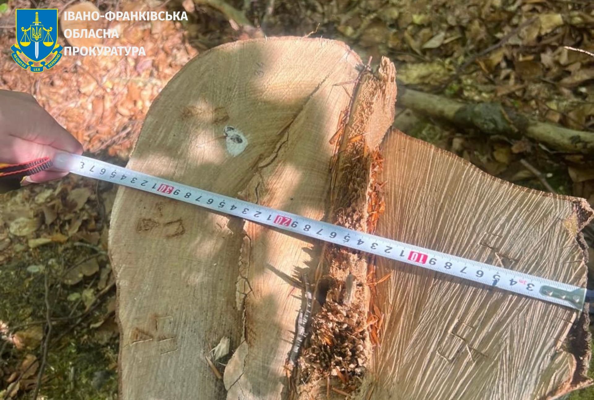 Фото: прокуратура Івано-Франківської області