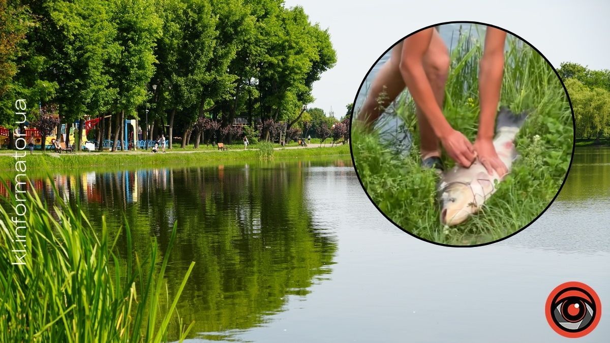 Величезну рибину спіймали юнаки на міському озері Коломиї