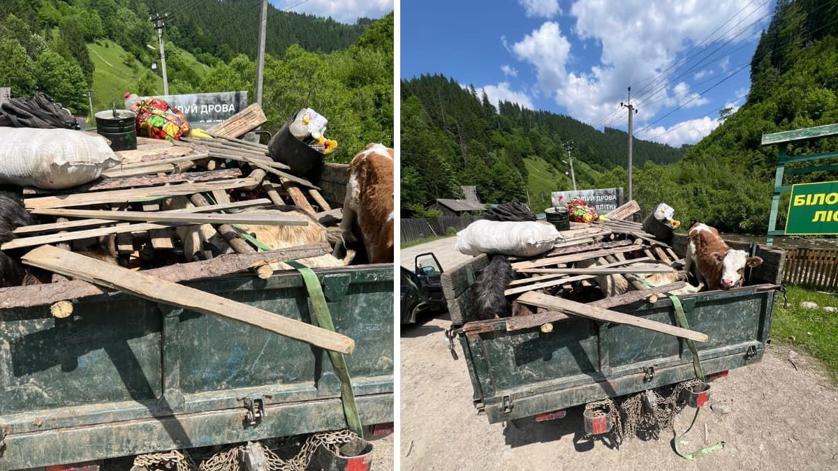 Під "особливим" прикриттям: прикордонники викрили схему перевезення чоловіків за кордон 1