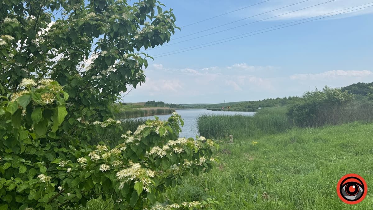 Погода в Коломиї 10 червня: похмуро, але тепло