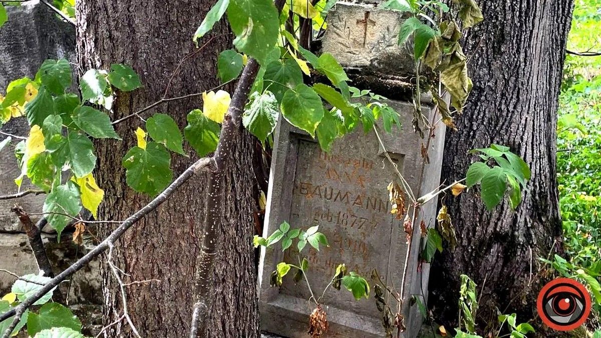 Давній німецький цвинтар у Коломиї: сліди покинутої колонії Маріягільф | ВІДЕО 1