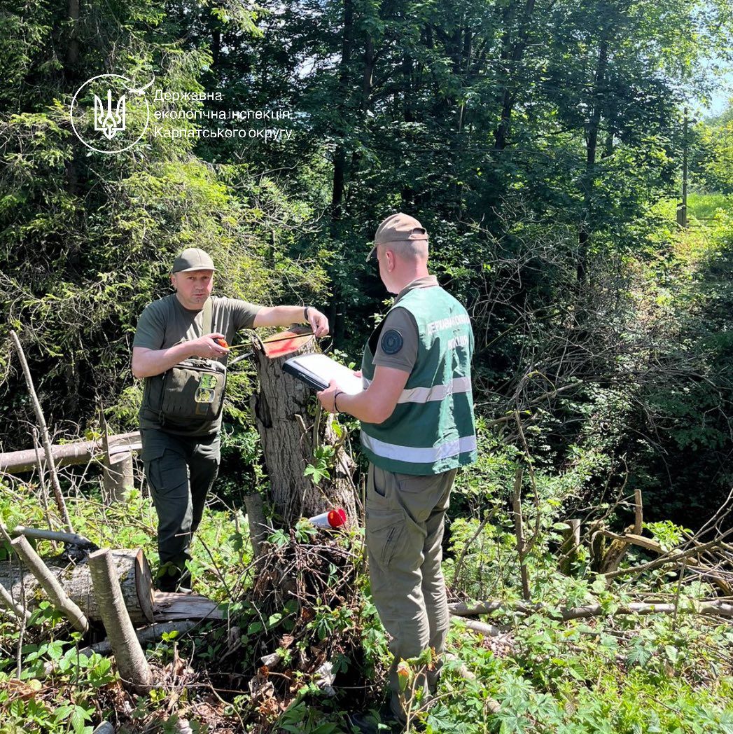 Майже 17 млн грн збитків: на території нацпарку "Гуцульщина" виявили масштабну рубку дерев 2