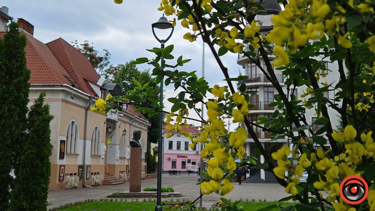 Коломия вдень та вночі: атмосферні фото 107