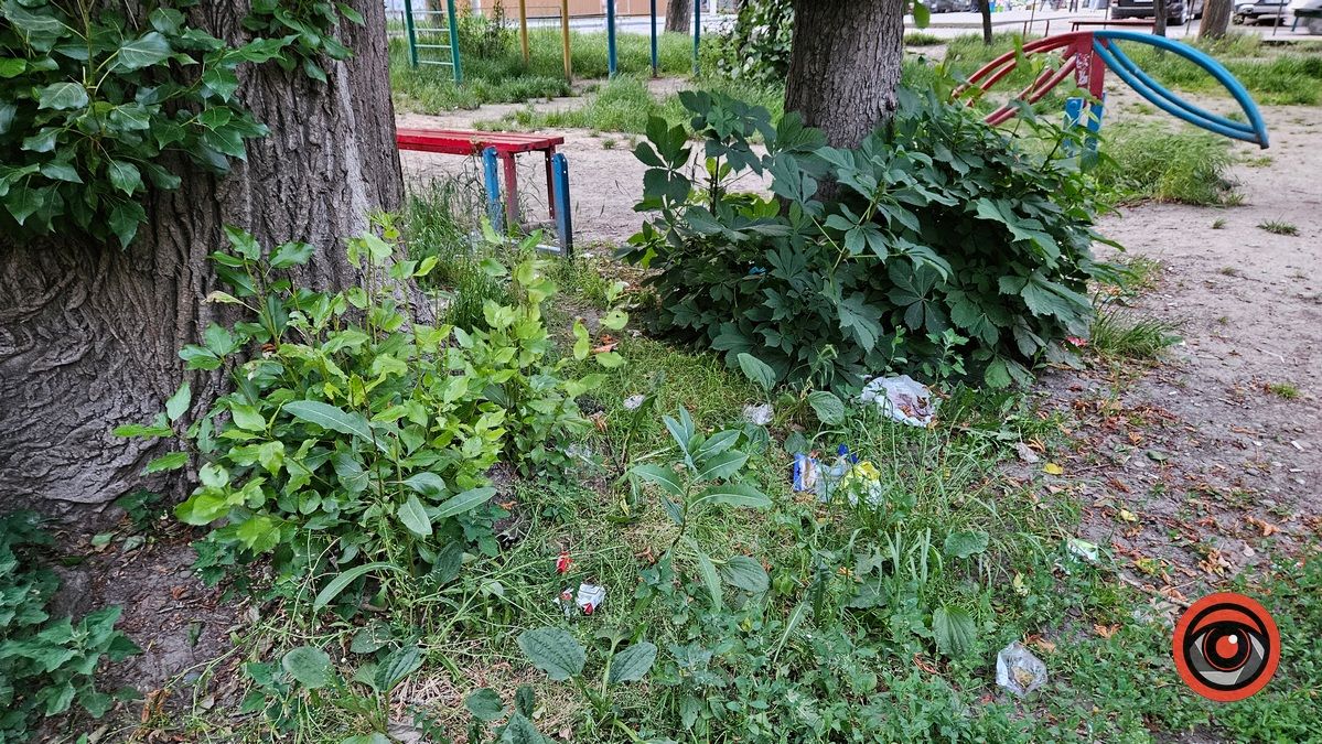 Дитячий чи сміттєвий? Найгірша ігрова зона у Коломиї 17