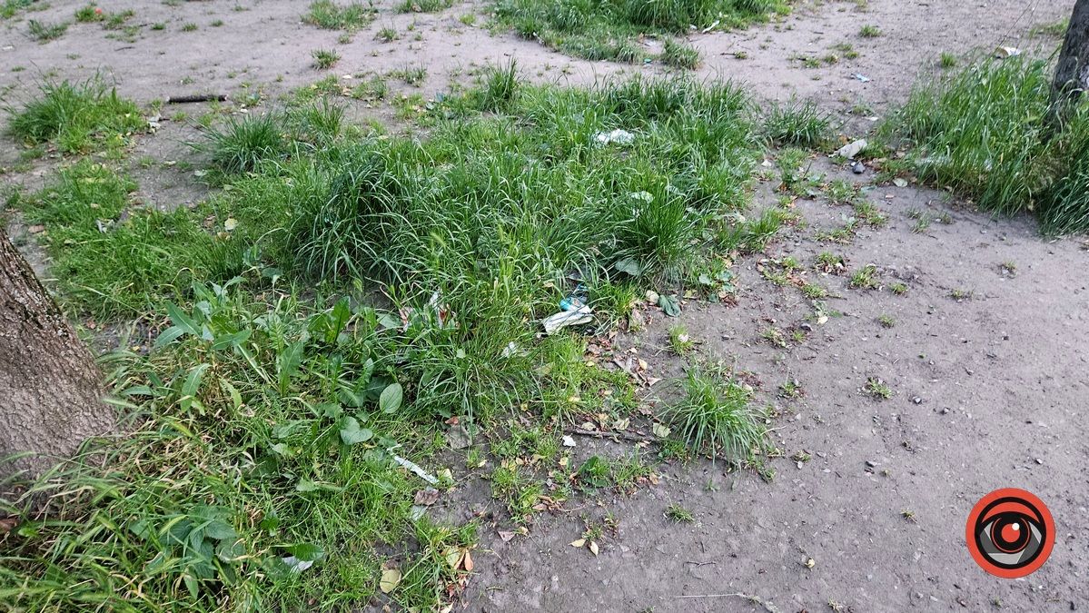 Дитячий чи сміттєвий? Найгірша ігрова зона у Коломиї 6