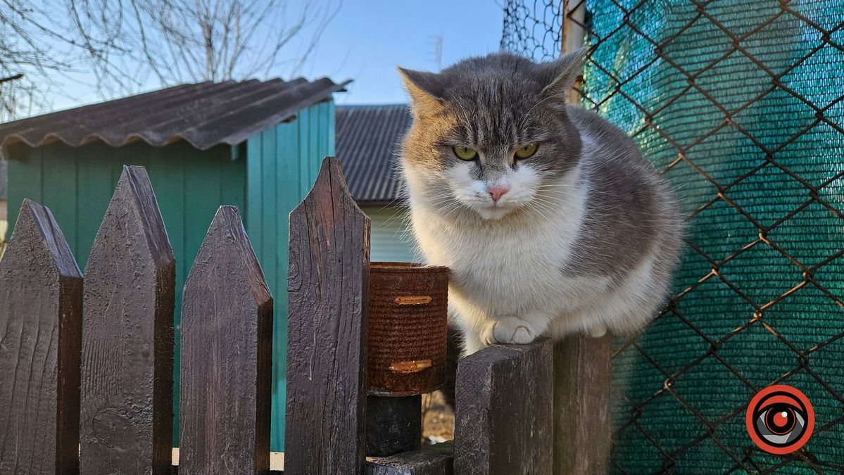 Коломия вдень та вночі: атмосферні фото 1